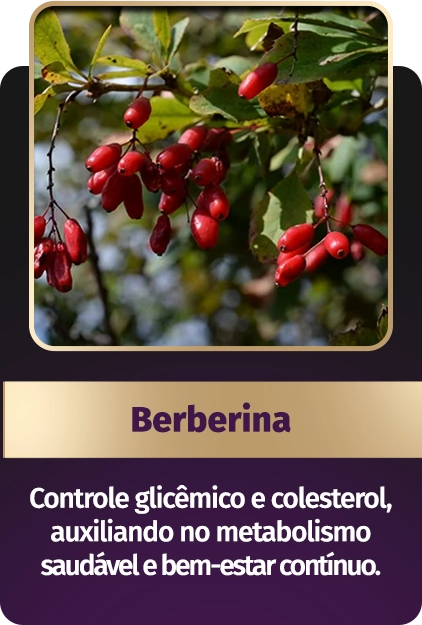 Berberina.webp